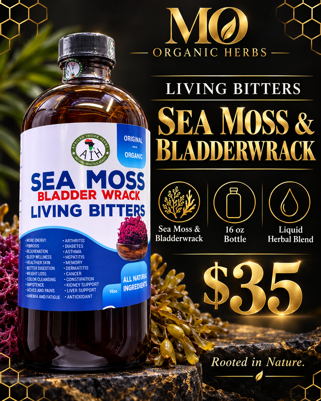 Sea Moss & Bladderwrack Living Bitters