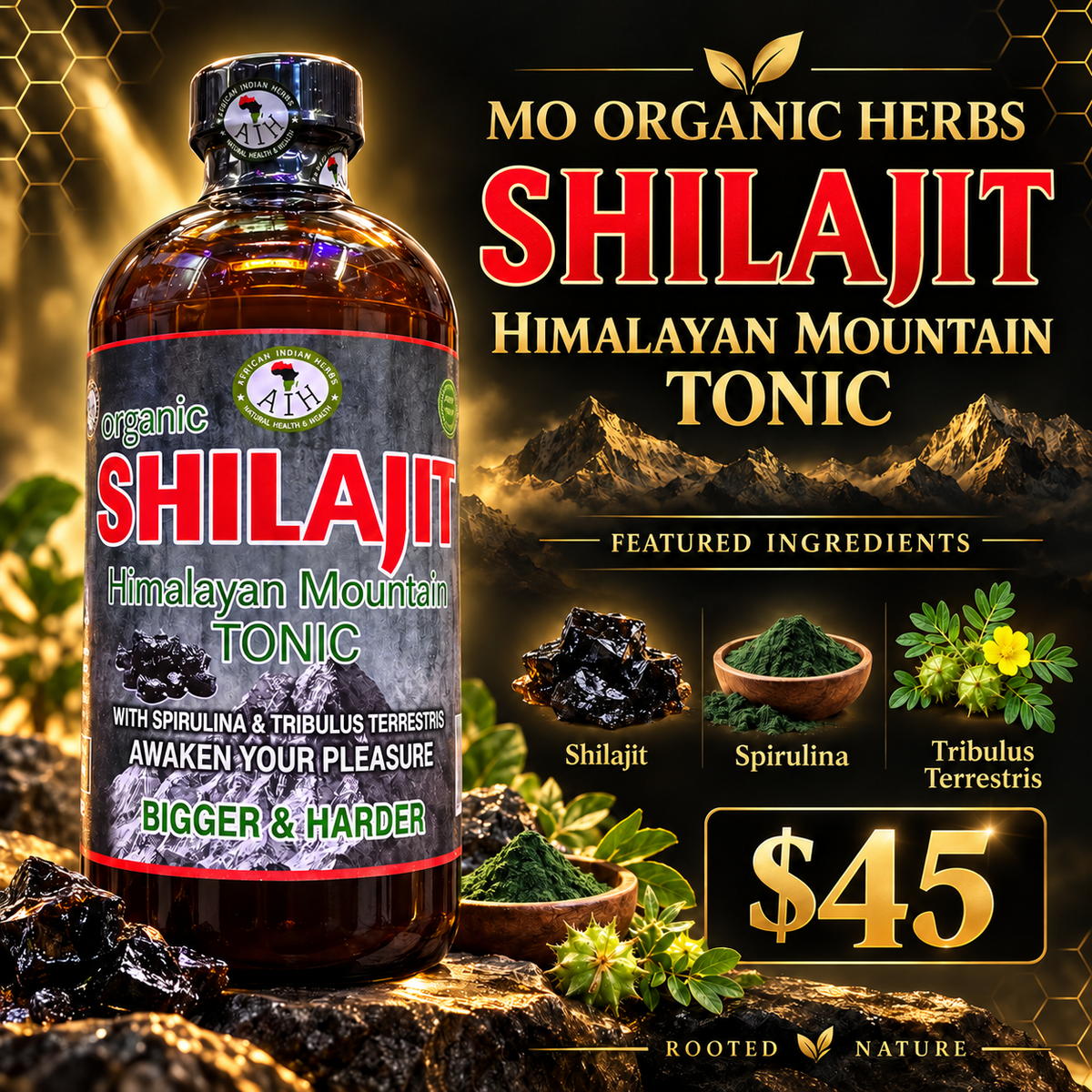 Shilajit Himalayan Mountain Tonic